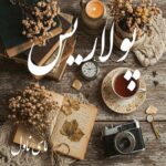 دانلود رمان پولاریس از اکرم حسین زاده با لینک مستقیم دانلود رمان پولاریس از اکرم حسین زاده با لینک مستقیم