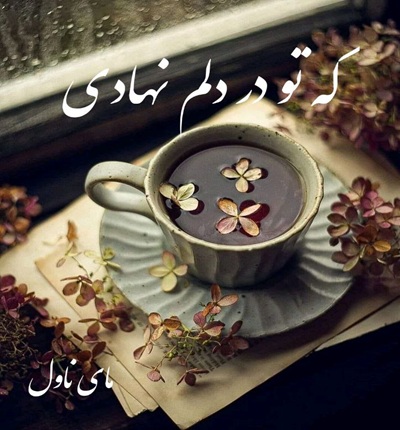 دانلود رمان که تو در دلم نهادی از مریم سلطانی با لینک مستقیم دانلود رمان که تو در دلم نهادی از مریم سلطانی با لینک مستقیم