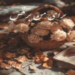 دانلود رمان برای من برقص از مهرناز ابهام با لینک مستقیم دانلود رمان برای من برقص از مهرناز ابهام با لینک مستقیم