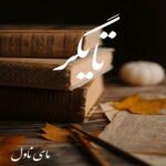دانلود رمان تایگر  از هاله نژاد صاحبی  با لینک مستقیم دانلود رمان تایگر  از هاله نژاد صاحبی  با لینک مستقیم
