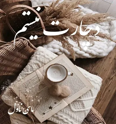 دانلود رمان دچارت نیستم از سمیرا ایرتوند با لینک مستقیم دانلود رمان دچارت نیستم از سمیرا ایرتوند با لینک مستقیم